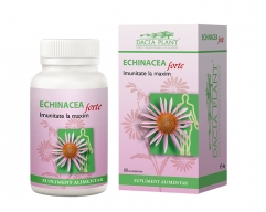 Echinacea Forte 60 cp